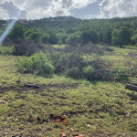 land for sale in Belle Vue Massive 30,000 sq ft release in Belle Vue (Cap Estate) – Subdividing Possible