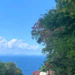 Land Fos Sale In Cap Estate - Lot C