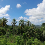 RESIDENTIAL LAND FOR SALE IN MORNE CAYENNE, VIEUX FORT st lucia
