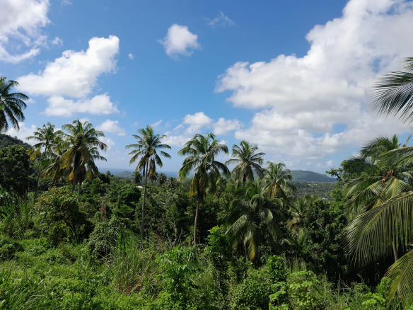 RESIDENTIAL LAND FOR SALE IN MORNE CAYENNE, VIEUX FORT st lucia