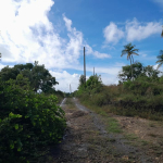 LAND FOR SALE IN AUBRIER, VIEUX FORT