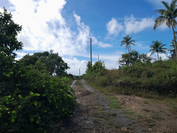 LAND FOR SALE IN AUBRIER, VIEUX FORT