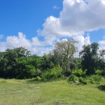 Belle Vue Land No. 123 – Ready for Development