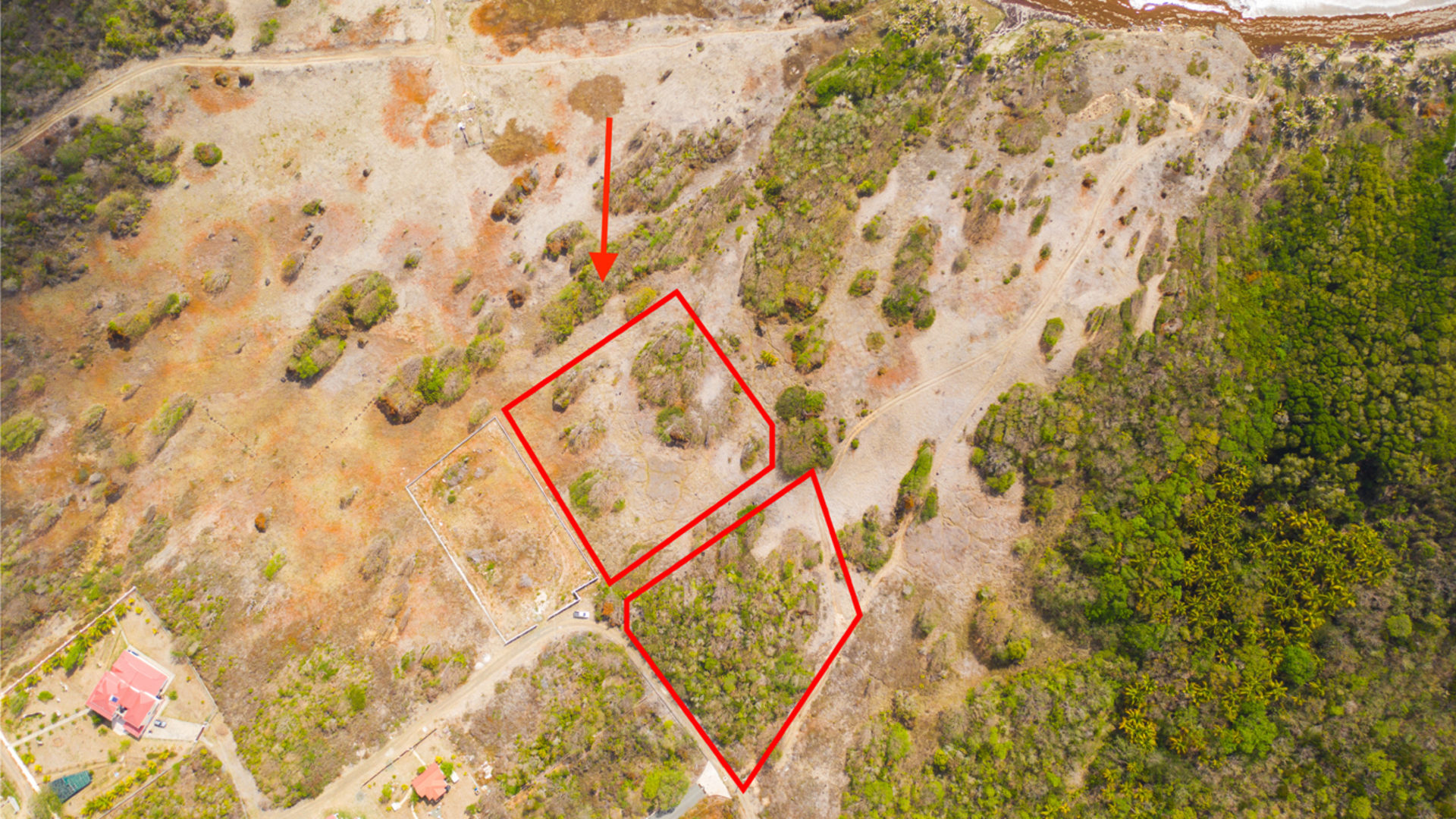 1-Acre Flat Lot in Canelles – Ideal for Family or Investment Properties