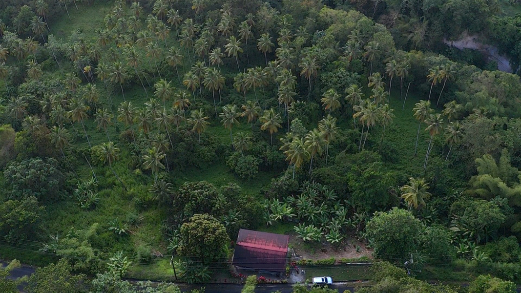 Choiseul Land – 23 Acres of Prime Development for sale Potential