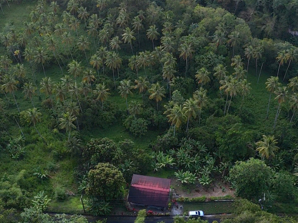 Choiseul Land – 23 Acres of Prime Development for sale Potential