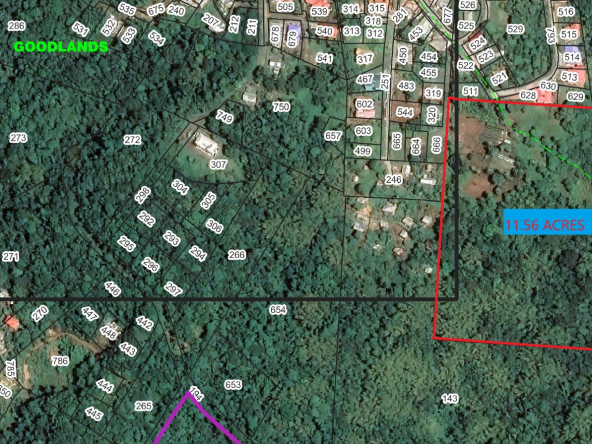 Prime 11.56-Acre Land for Sale in Morne Fortune, Castries An extraordinary investment opportunity awaits in Morne Fortune, Castries! This stunning 11.56-acre parcel of land offers the perfect canvas for a visionary developer, entrepreneur, or investor looking to capitalize on a prime location with limitless potential. Location, Location, Location! Strategically situated just three miles from the heart of Castries, this expansive property provides easy access to St. Lucia’s capital city, where businesses, government offices, financial institutions, and the George F.L. Charles Airport (GFL) are all within a short drive. Whether commuting for work, leisure, or international travel, the location ensures convenience at every turn. Untouched & Ready for Development This virgin, undeveloped land presents a rare opportunity to shape a project exactly as envisioned. Whether your plans include a residential community, condominiums, a commercial complex, or a mix of both, the possibilities are endless. Essential Utilities Nearby No need to worry about infrastructure—water, electricity, internet, and cable services are all within close reach, making development seamless and cost-efficient. Accessibility & Growth Potential Nestled in a medium-density area with excellent transportation links, this location is primed for future expansion. Its balance of privacy and accessibility makes it ideal for a variety of development possibilities. Don’t miss out on this rare opportunity to invest in a growing and highly sought-after area. Contact Micha Landers today to schedule a viewing and secure your piece of prime real estate in Morne Fortune, Castries!
